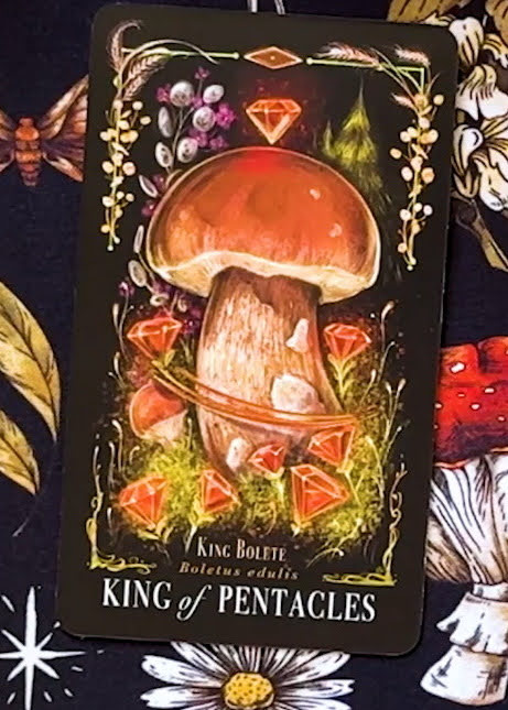 Midnight Magic: A Tarot Deck of Mushrooms